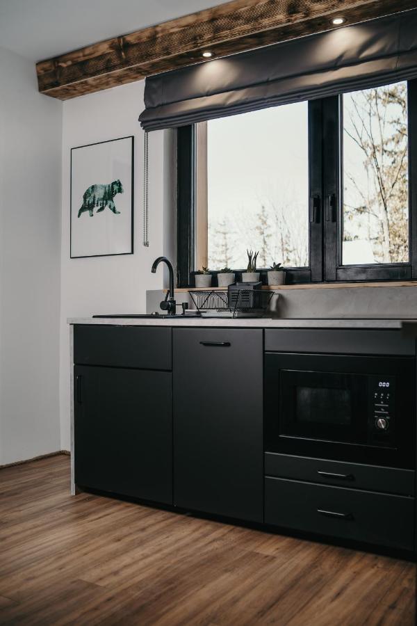 ザコパネTatra Loftアパートメント エクステリア 写真
